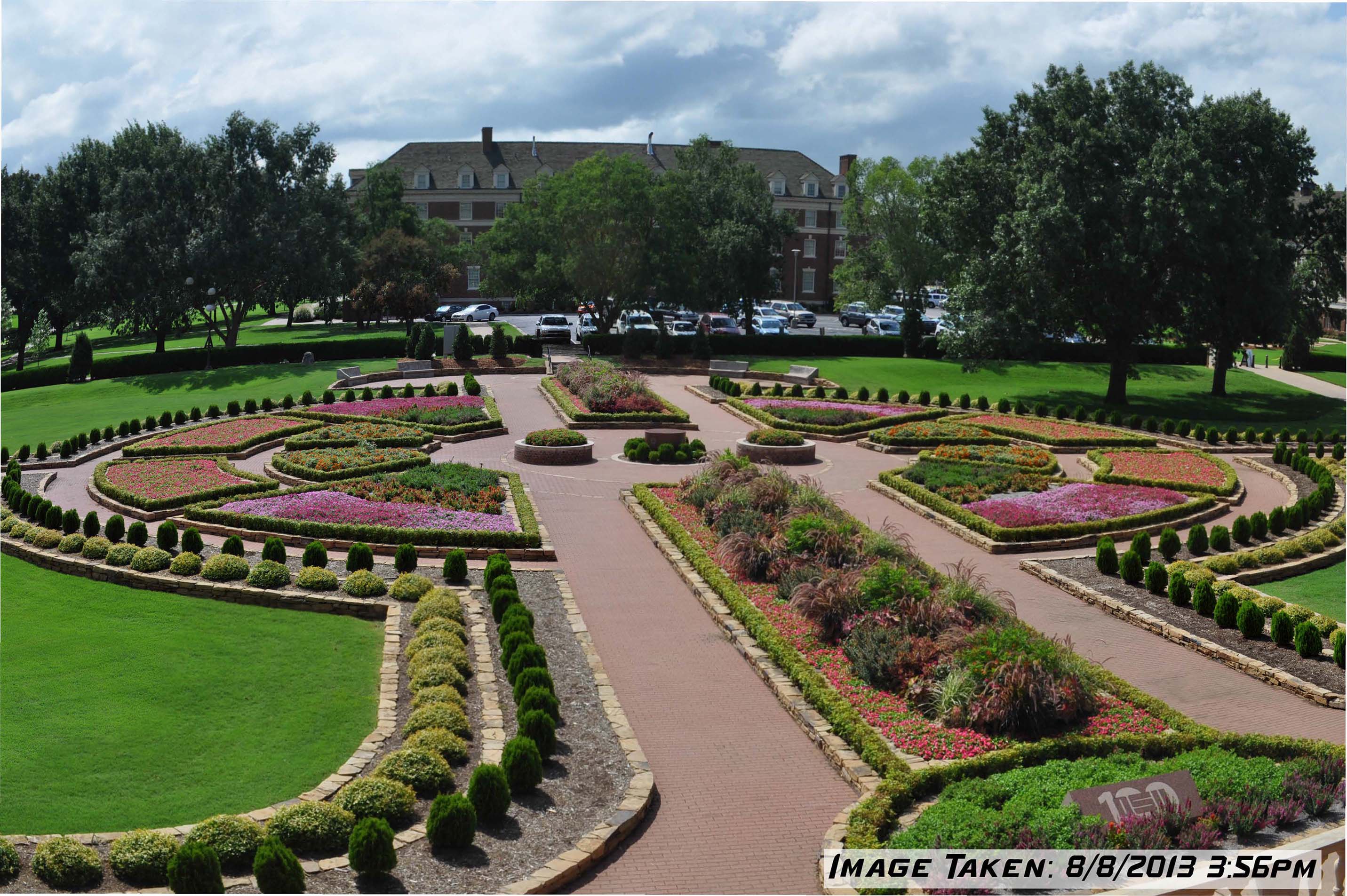 Container Gardening  Oklahoma State University