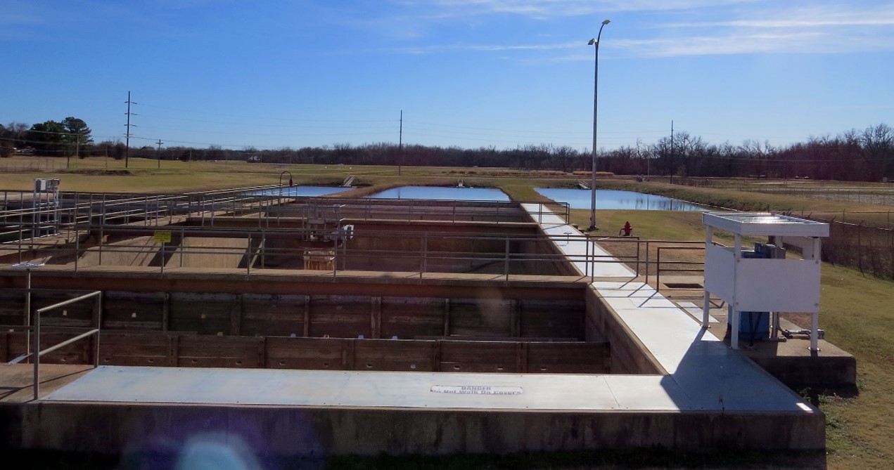 water plant image water plant image