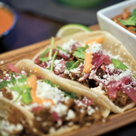 This is alt text for the image