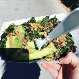 This is alt text for the image