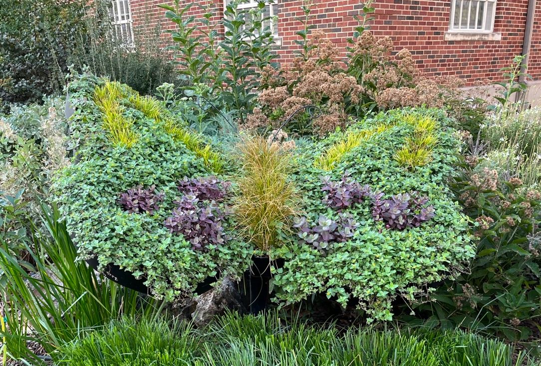 Butterfly Topiary Butterfly Topiary