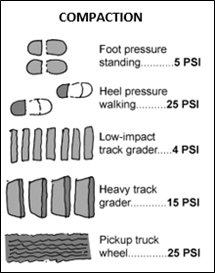 Soil Compaction Compaction