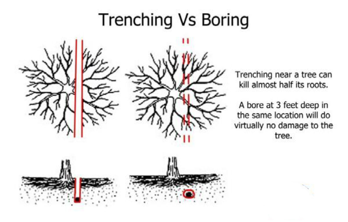 Trenching Vs. Boring