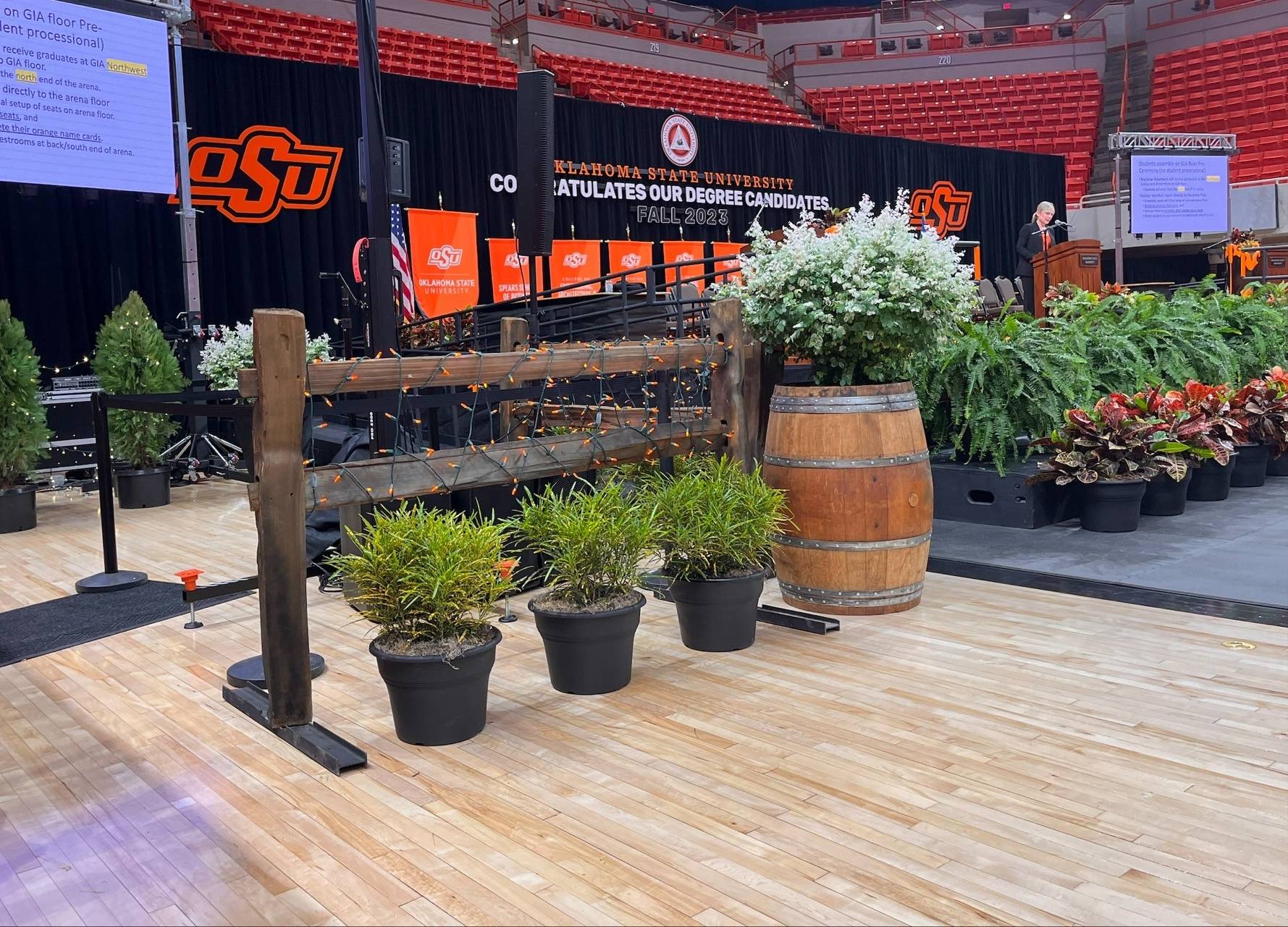 Mix of Large and Small Plants