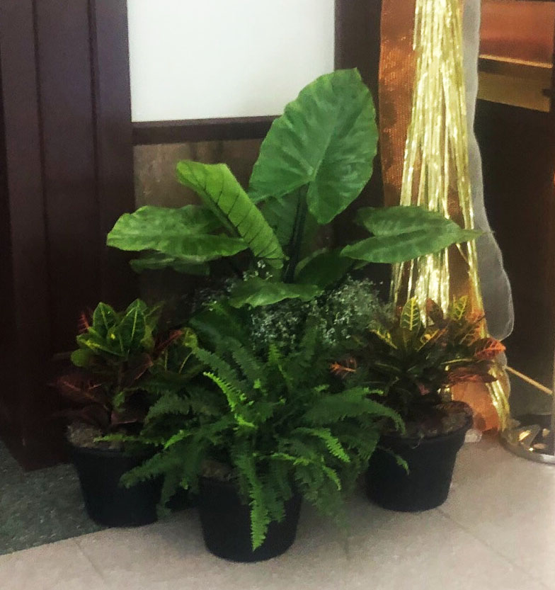 Mix of Large and Small Plants