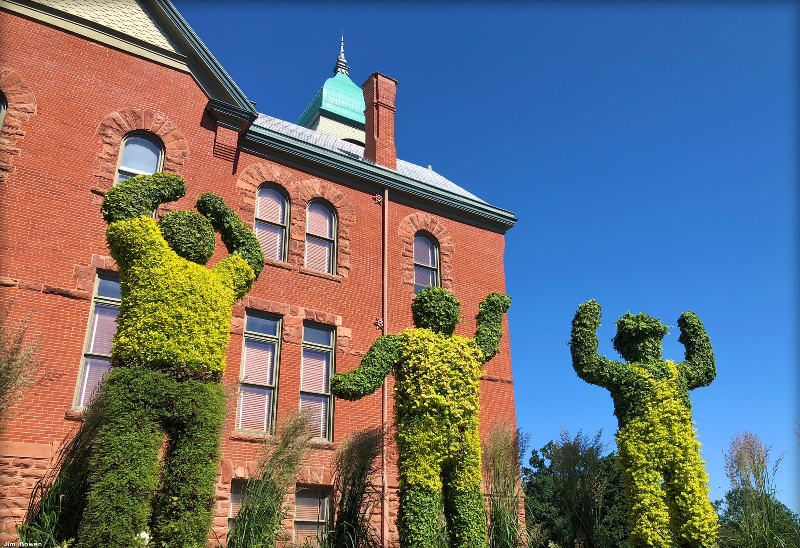 OSU Topiary Fans OSU Topiary Fans