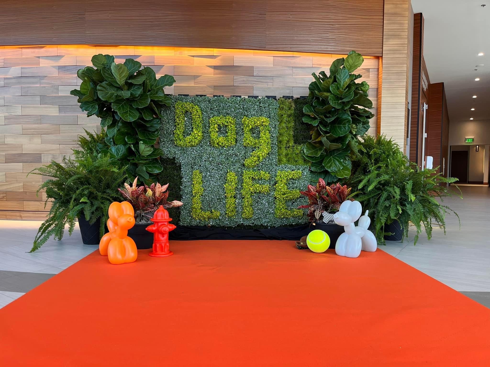 Mix of Large Arrangement and Small Plants