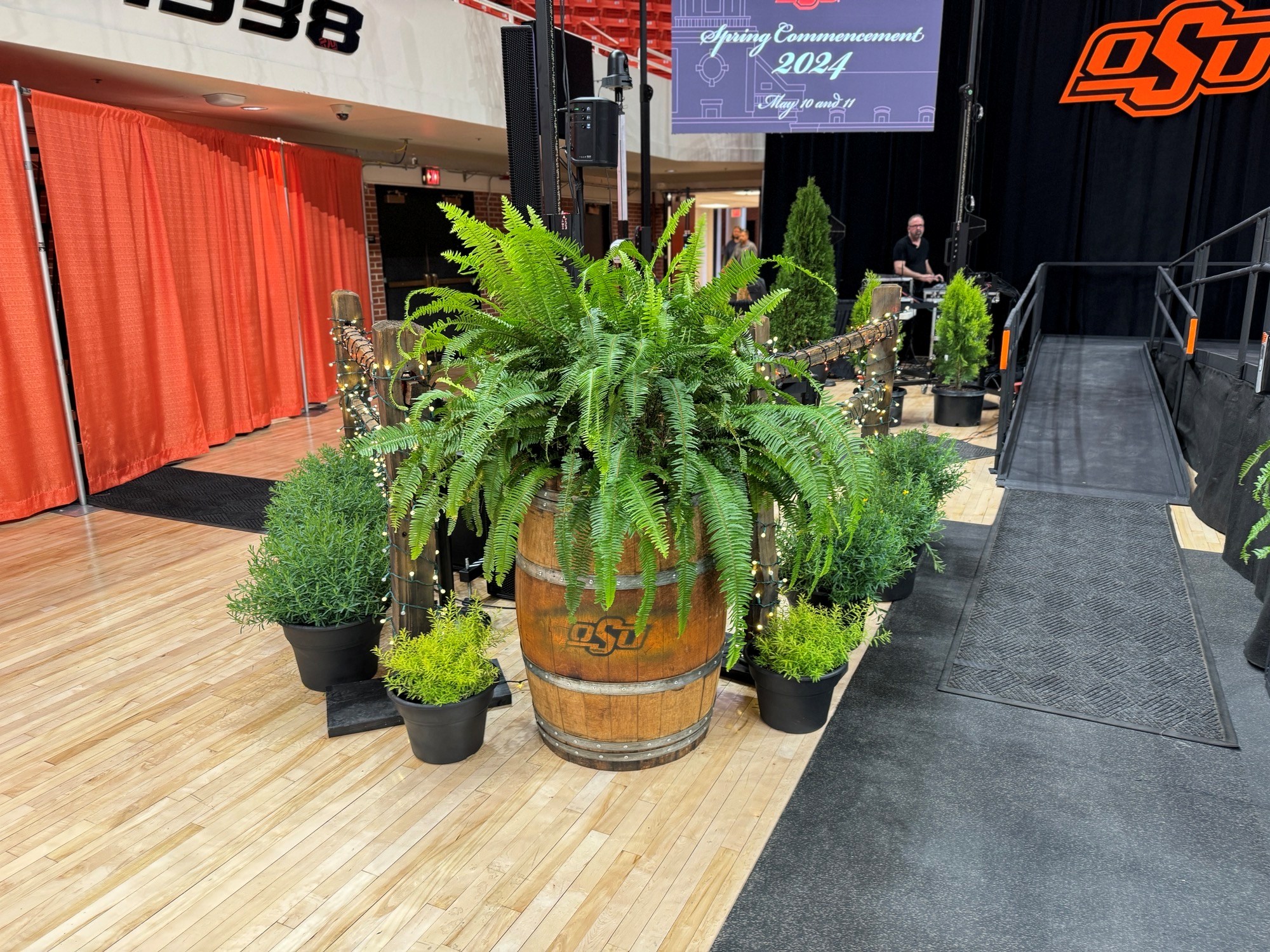 Mix of Large and Small Plants