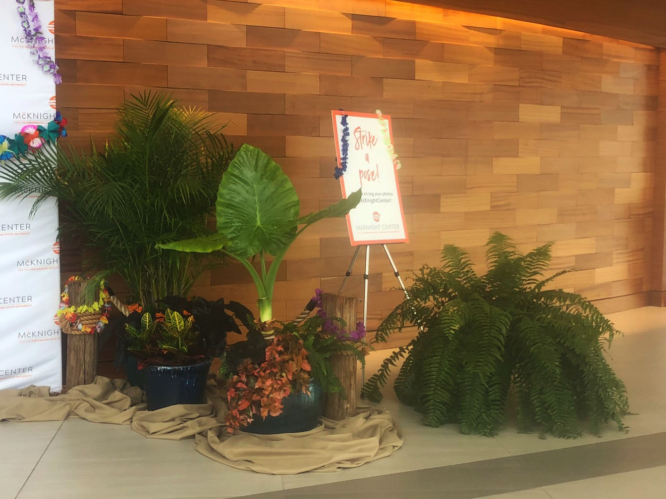 Mix of Large Arrangements and Large Plants