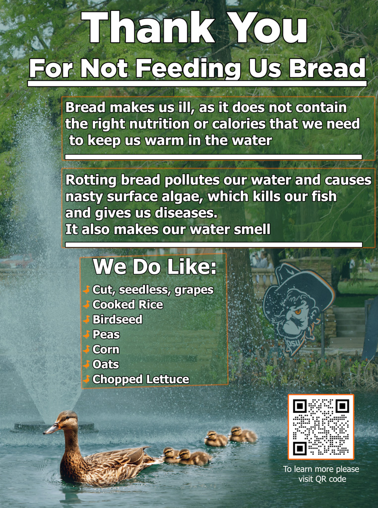 Theta Pond Duck Care