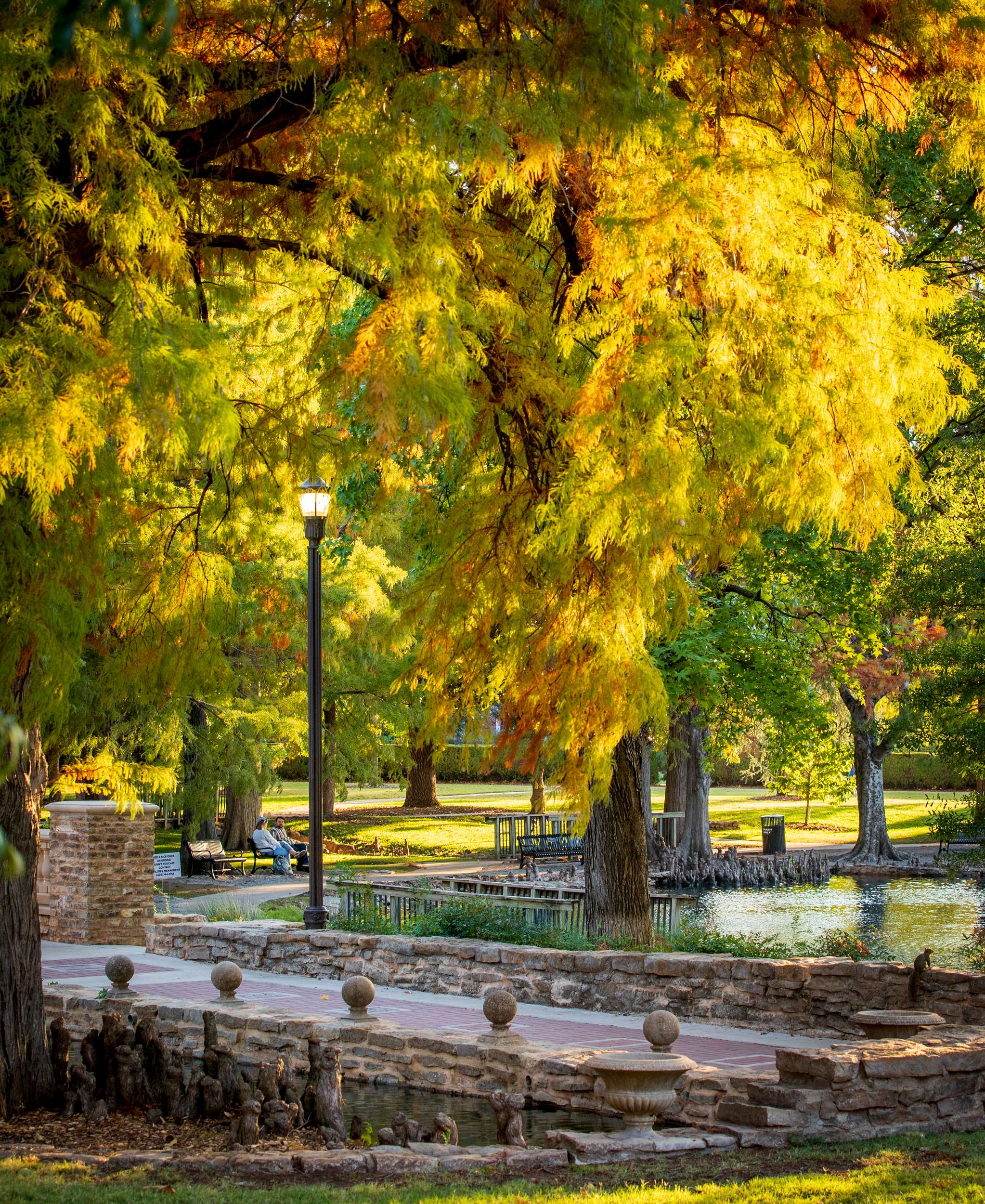 Theta Ponf In the Fall