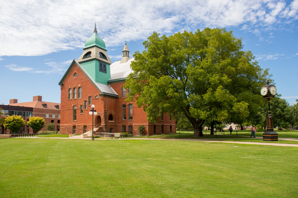 Sugarberry Old Central Sugarberry Old Central